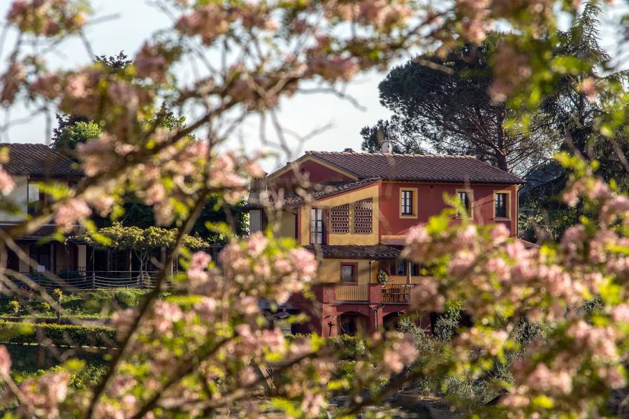 Il Frutteto Casa Vacanze - Lari (Pisa)